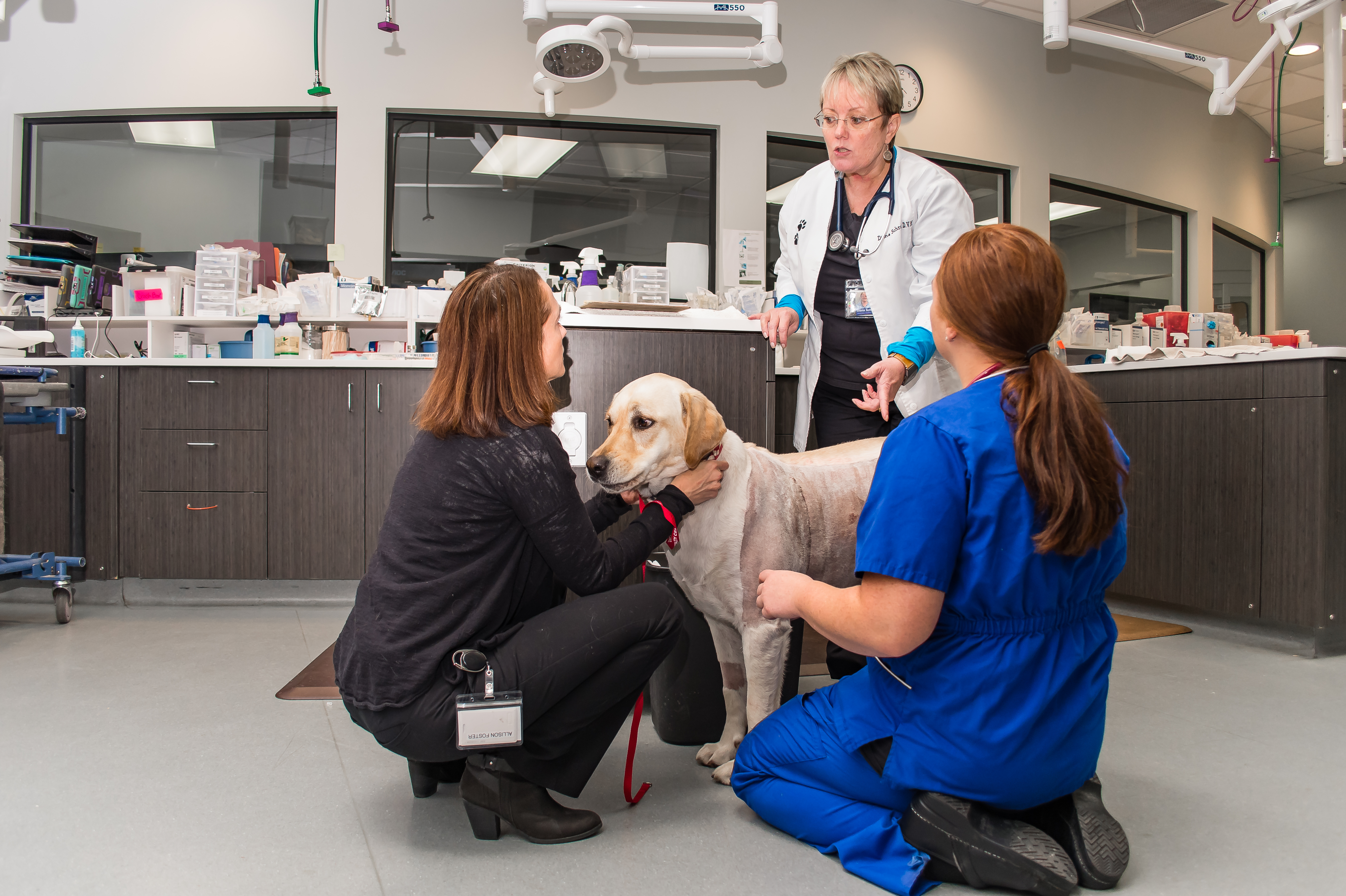 Southern Oregon Veterinary Specialty Center - 24 Hour Emergency Care