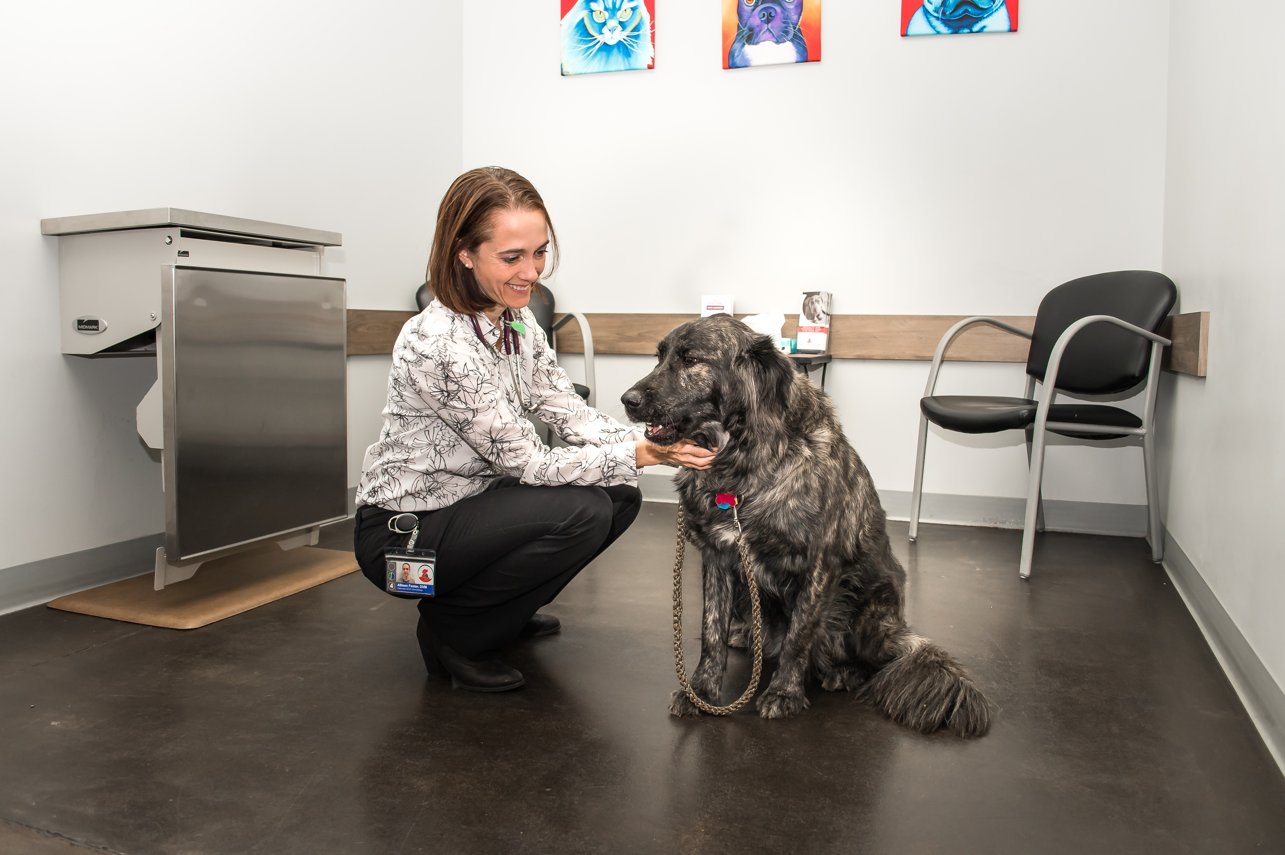 Pet allergist 