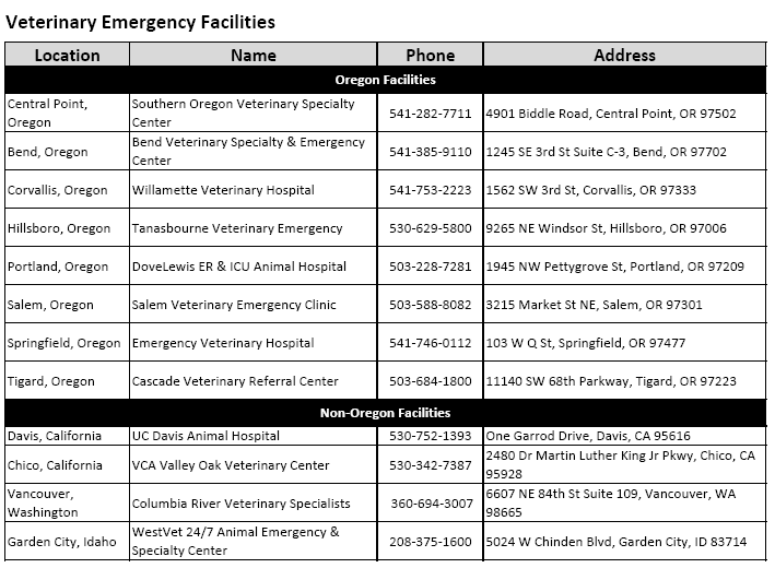 Veterinary Emergency Facilities